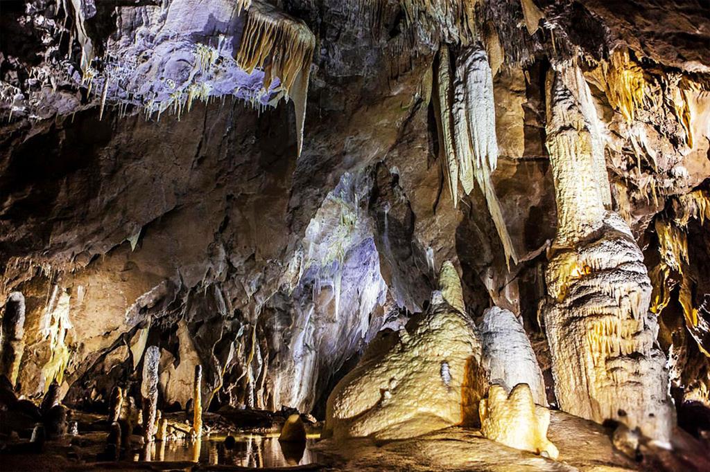 Koněpruské jeskyně